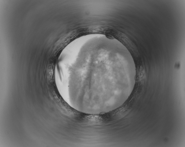 X0000114560427200911161228