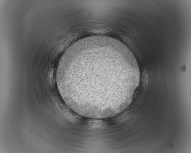 X0000114560428200911161228