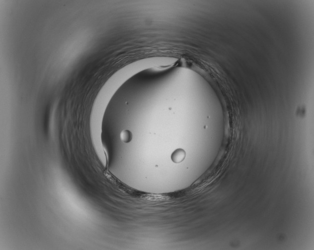 X0000114560429200911161228