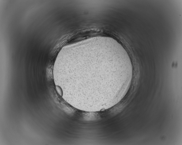X0000114560432200911161228
