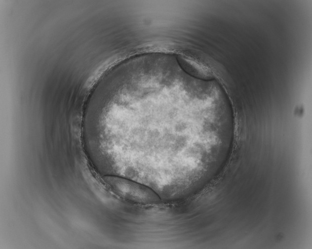X0000114560434200911161227