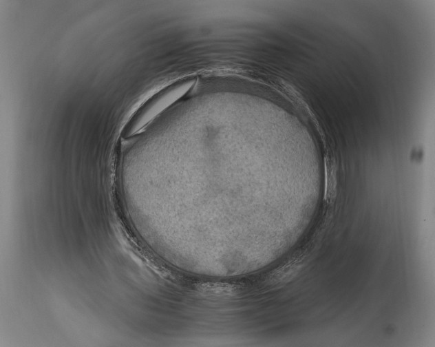 X0000114560435200911161227
