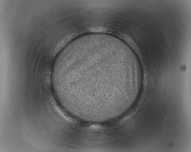 X0000114560441200911161228