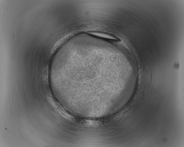 X0000114560442200911161228