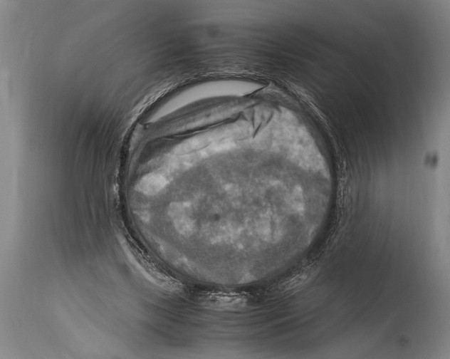 X0000114560443200911161228