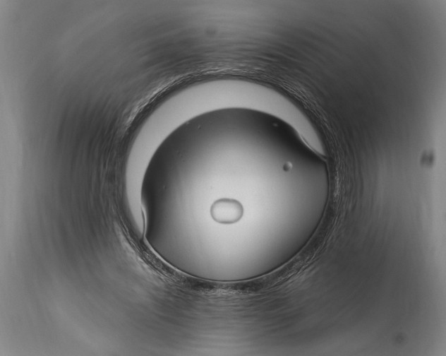 X0000114560444200911161228