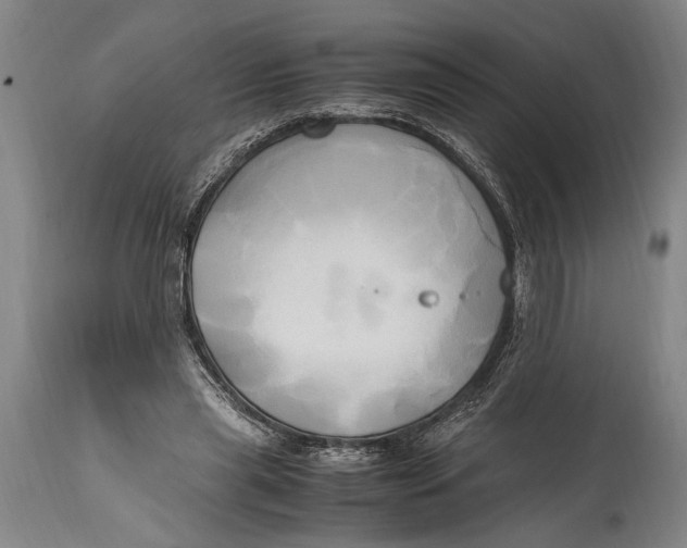 X0000114560445200911161228