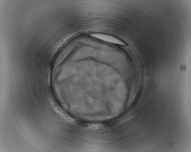 X0000114560446200911161228