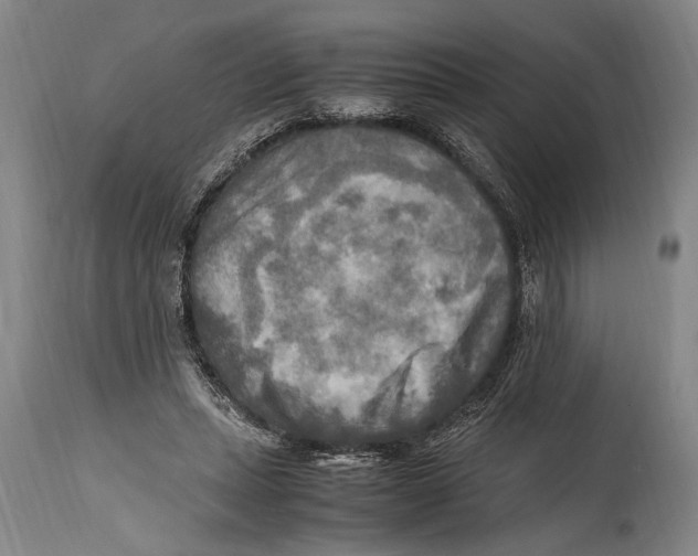 X0000114560447200911161228