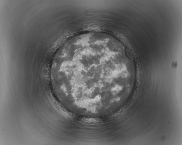 X0000114560449200911161228