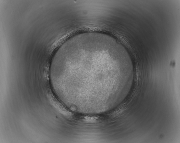 X0000114560450200911161228