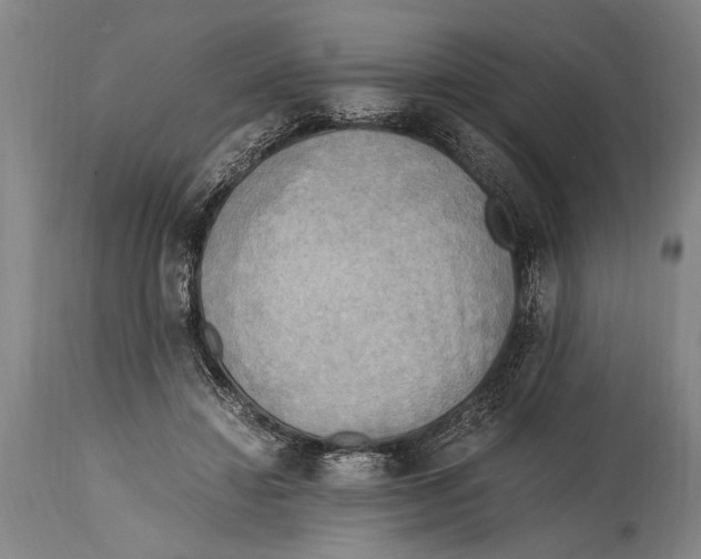 X0000114560452200911161228