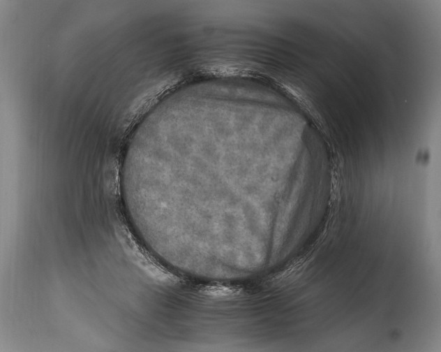 X0000114560453200911161228