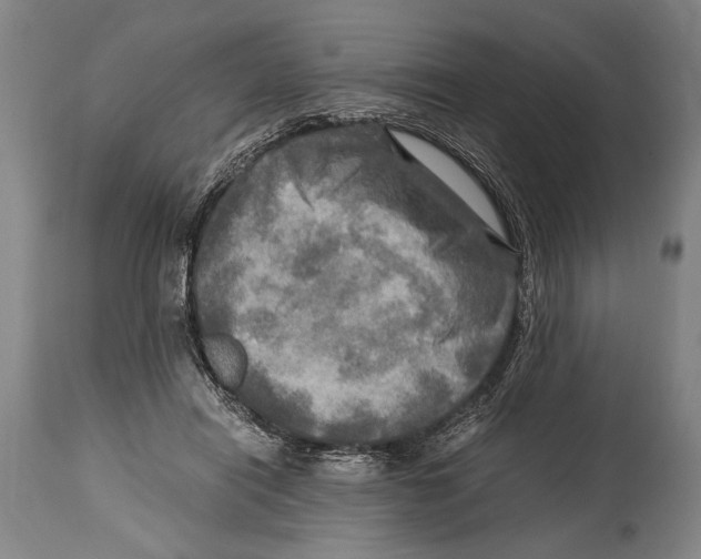 X0000114560454200911161228