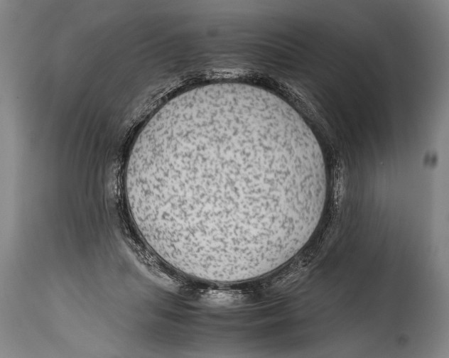 X0000114560455200911161228