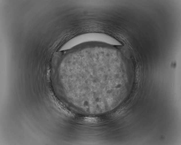 X0000114560457200911161228