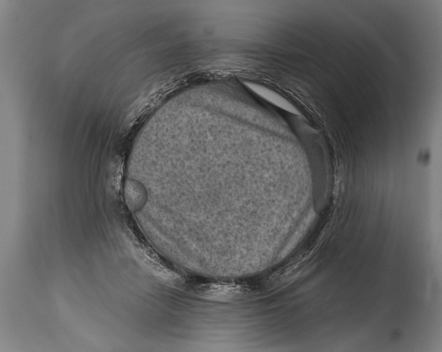 X0000114560458200911161228
