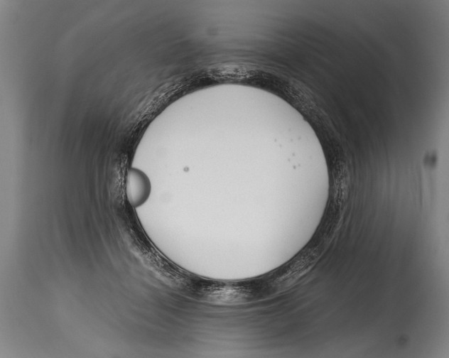 X0000114560460200911161228