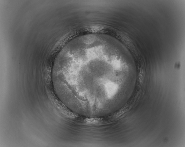 X0000114560461200911161228