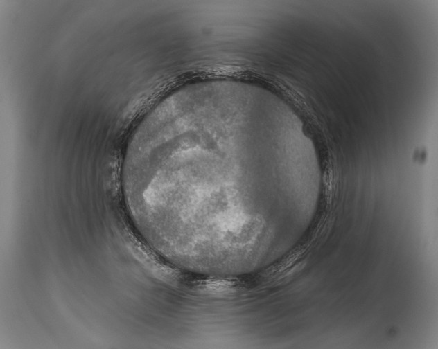 X0000114560462200911161228