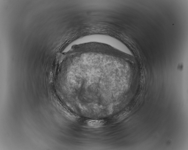 X0000114560465200911161228