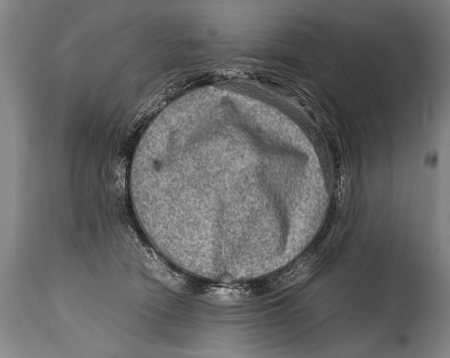 X0000114560466200911161228