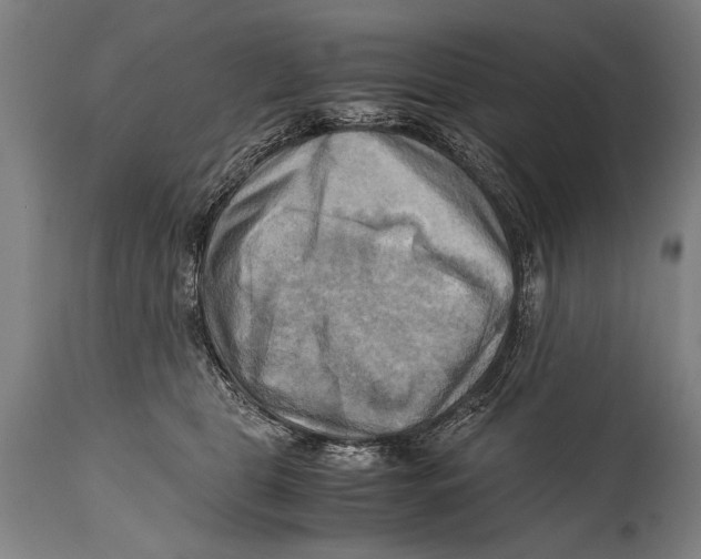 X0000114560469200911161228
