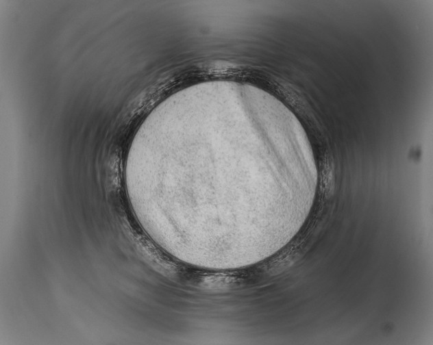 X0000114560470200911161228