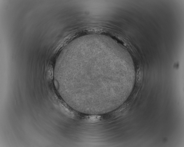 X0000114560474200911161228