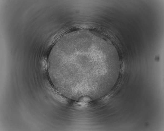 X0000114560478200911161228