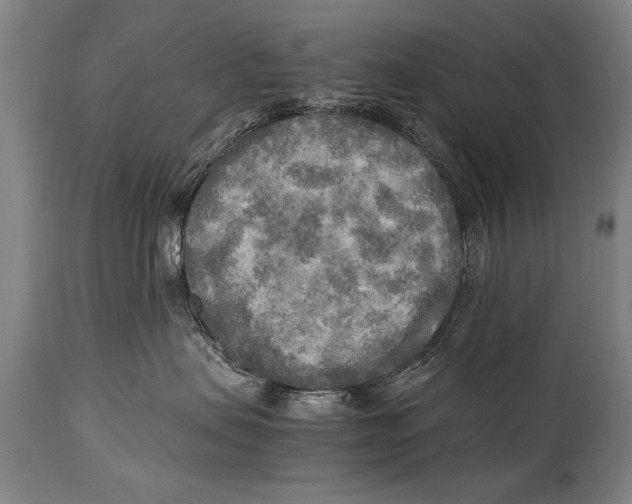 X0000114560479200911161228