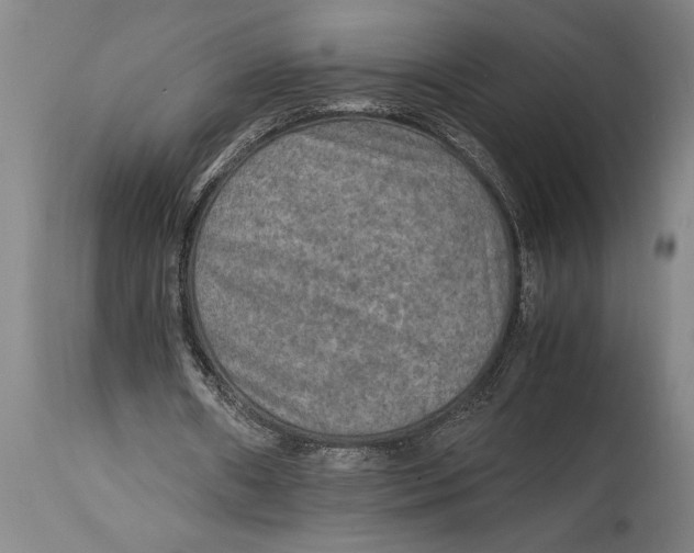 X0000114560482200911161227