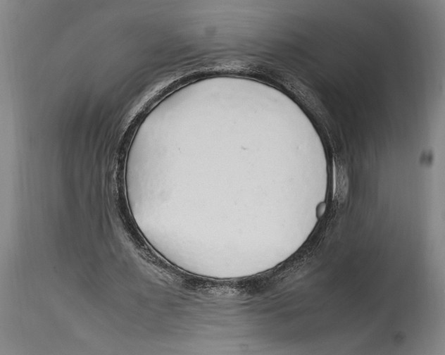 X0000114560483200911161227