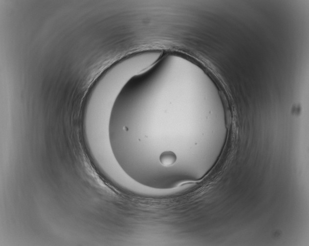 X0000114560485200911161227