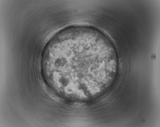 X0000114560487200911161227