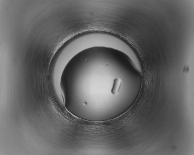X0000114560488200911161227