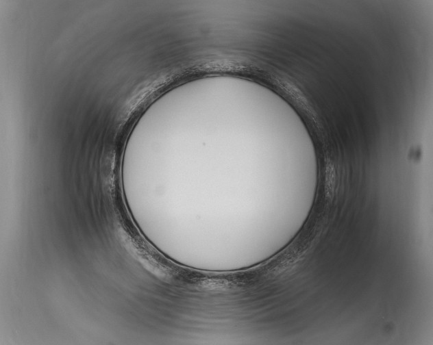 X0000114560490200911161227