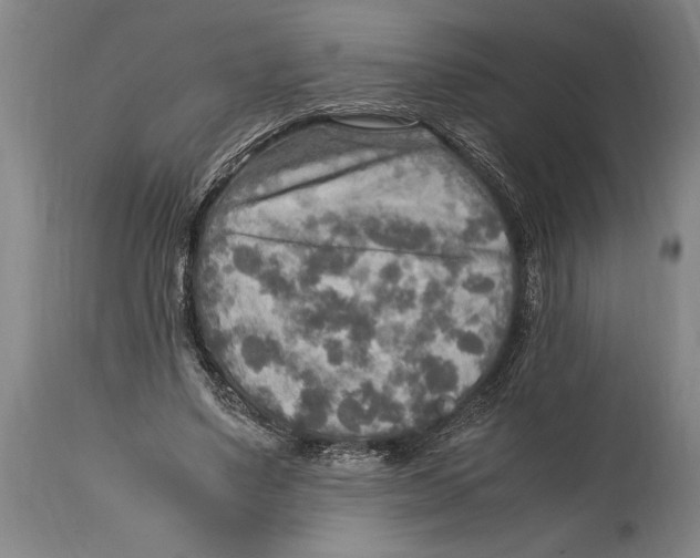 X0000114560491200911161227