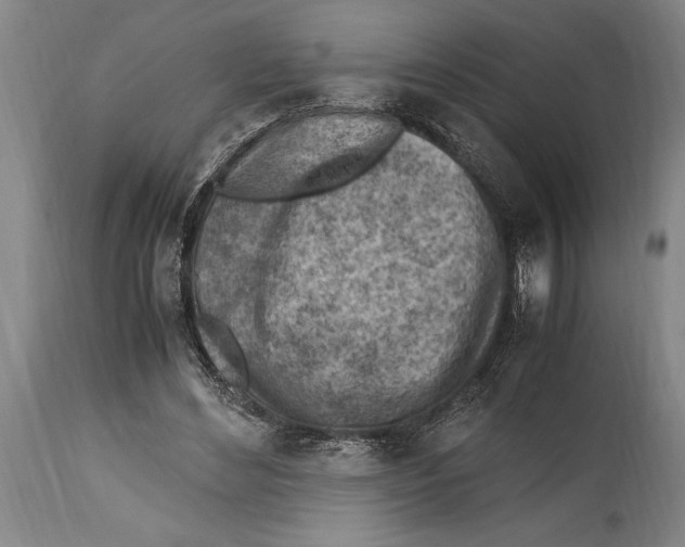 X0000114560492200911161227