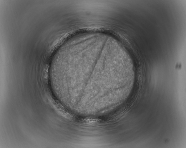X0000114560495200911161227
