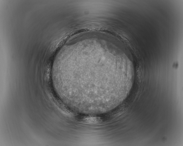X0000114560499200911161227