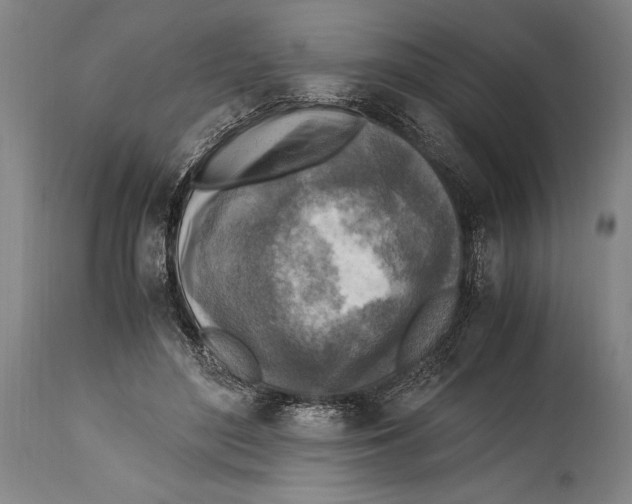 X0000114560500200911161227