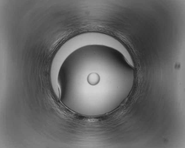 X0000114560501200911161227