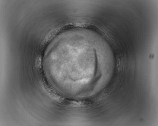 X0000114560502200911161227