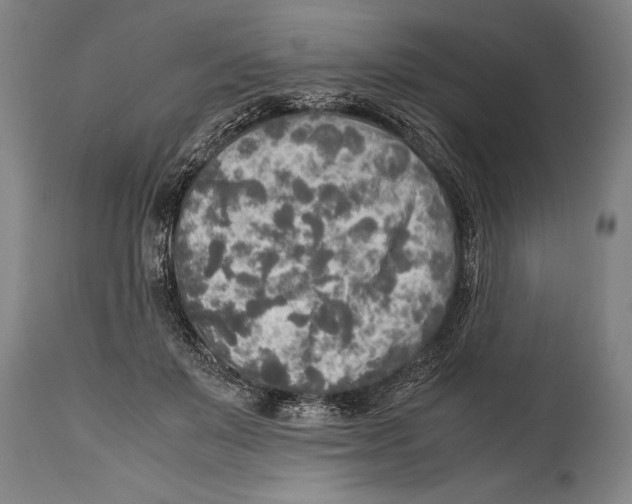 X0000114560503200911161227
