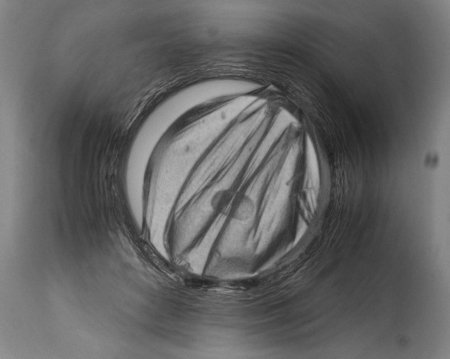X0000114560504200911161227