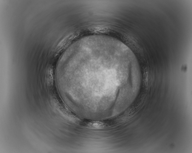 X0000114560506200911161227