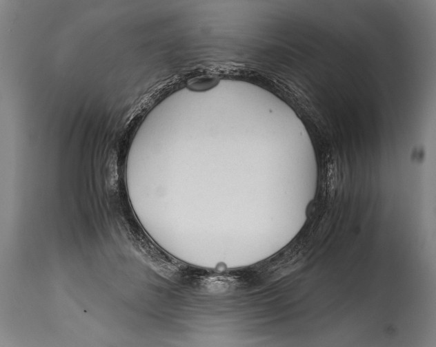 X0000114560508200911161227