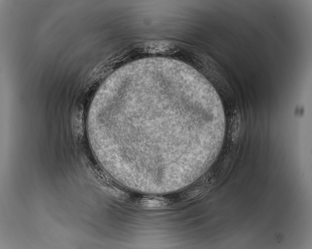 X0000114560510200911161227