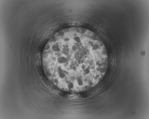 X0000114560511200911161227